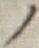 字ノ