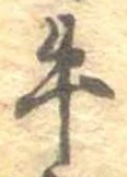已定位牛