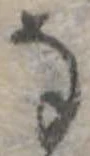 已定位𛂂