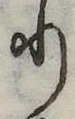 𛃲の位置