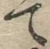位置 確認된 て