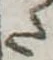 𛁠 위치 확인됨