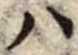 𛂞の位置