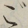 位置 確認된 ご