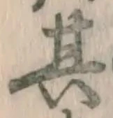 Character 其