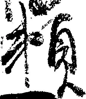 已定位頼