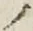 “ノ”字