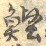 Located 鰹