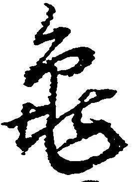 已定位亀