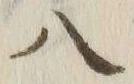 字八