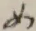 글자 め
