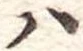 𛂞 위치 확인됨