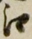 글자 江