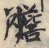 膽の位置