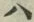 字ハ