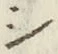 글자 シ