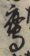 鷹 위치 확인됨