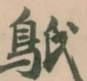 䲬 위치 확인됨