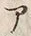 字ア