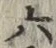 글자 六