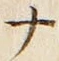 「ナ」字