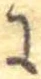 𛂌 위치 확인됨