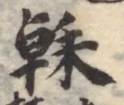 榦の位置