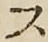字ス