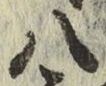 글자 八