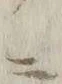글자 作