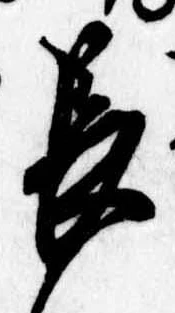 長 위치 확인됨