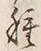 “種”字