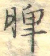脾 위치 확인됨