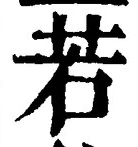 글자 若