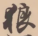 狼 위치 확인됨