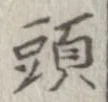 已定位頭