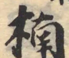 Đã định vị 楠