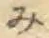 글자 み