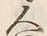 字人