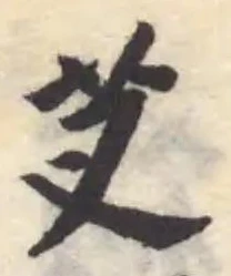 芆の位置