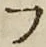 글자 フ