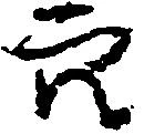已定位穴