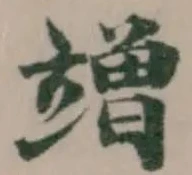 竲の位置