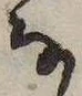 𛂂の位置