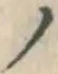 “ノ”字