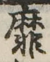 靡の位置