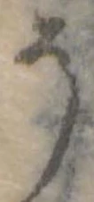 位置定マレル𛁚