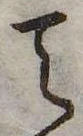 Đã định vị 天
