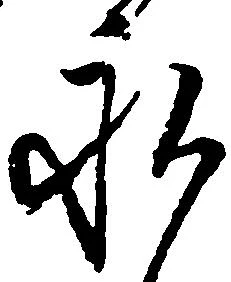 已定位永