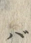 𡨸バ